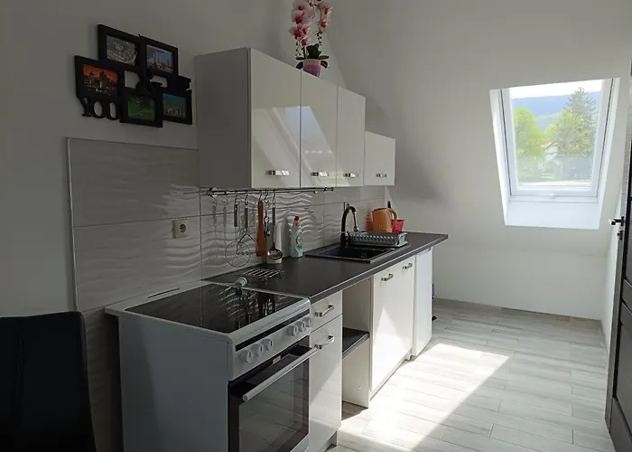 Guest house Sloneczny Blizniak