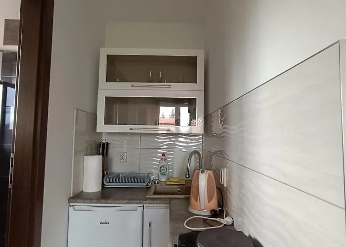 Guest house Sloneczny Blizniak